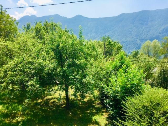 Apartmaji Jana Bovec Buitenkant foto