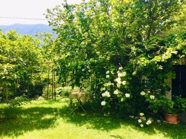 Apartmaji Jana Bovec Buitenkant foto