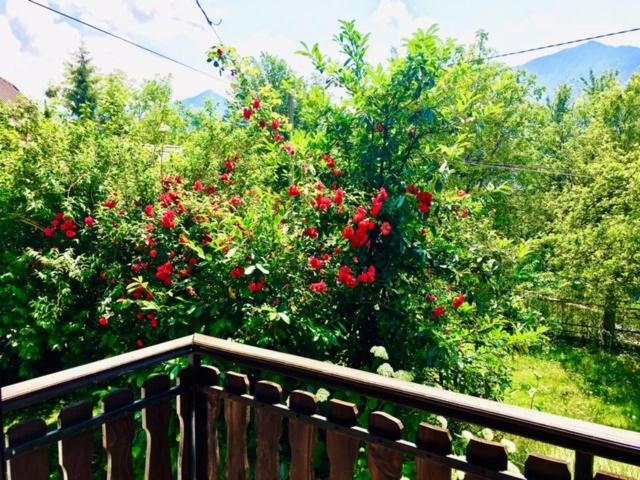 Apartmaji Jana Bovec Buitenkant foto