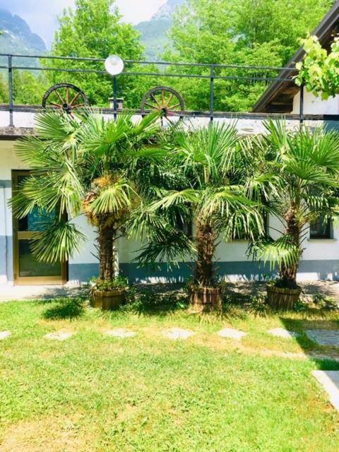 Apartmaji Jana Bovec Buitenkant foto