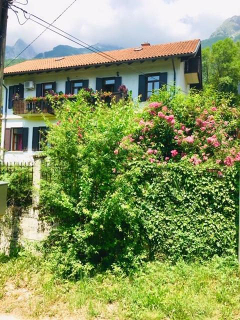 Apartmaji Jana Bovec Buitenkant foto