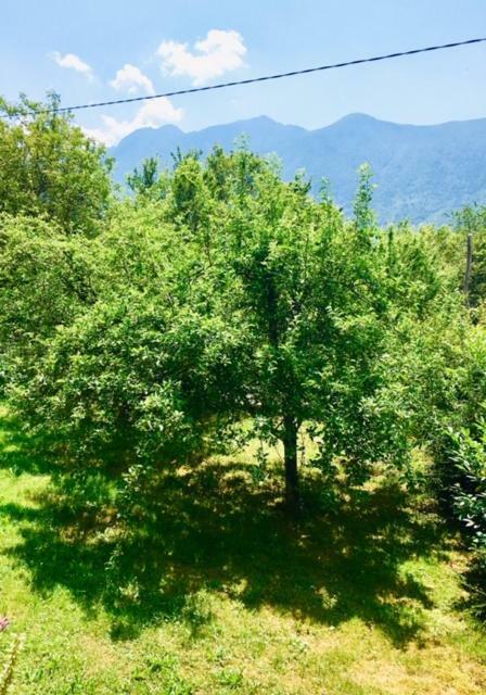 Apartmaji Jana Bovec Buitenkant foto